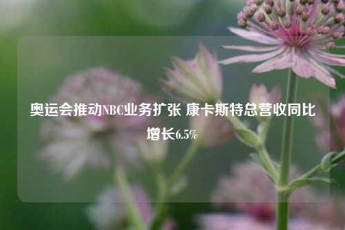 奥运会推动NBC业务扩张 康卡斯特总营收同比增长6.5%-第1张图片-十倍杠杆-股票杠杆