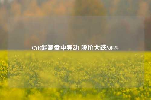 CVR能源盘中异动 股价大跌5.04%-第1张图片-十倍杠杆-股票杠杆