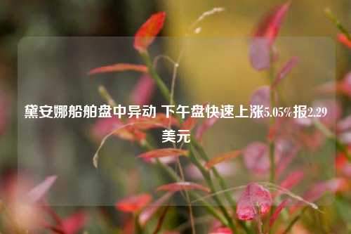 黛安娜船舶盘中异动 下午盘快速上涨5.05%报2.29美元-第1张图片-十倍杠杆-股票杠杆