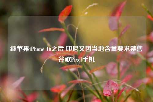 继苹果iPhone 16之后 印尼又因当地含量要求禁售谷歌Pixel手机-第1张图片-十倍杠杆-股票杠杆