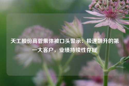 天工股份高管集体被口头警示：极速飙升的第一大客户，业绩持续性存疑-第1张图片-十倍杠杆-股票杠杆