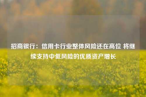 招商银行：信用卡行业整体风险还在高位 将继续支持中低风险的优质资产增长-第1张图片-十倍杠杆-股票杠杆