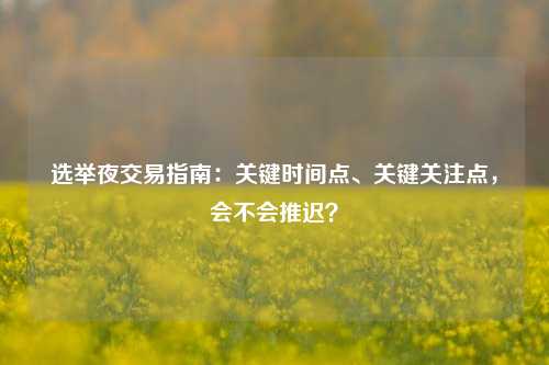 选举夜交易指南：关键时间点、关键关注点，会不会推迟？-第1张图片-十倍杠杆-股票杠杆