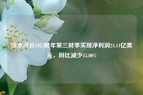 淡水河谷2024财年第三财季实现净利润24.14亿美元，同比减少15.00%-第1张图片-十倍杠杆-股票杠杆