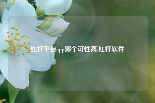 杠杆平台app哪个可性高,杠杆软件-第1张图片-十倍杠杆-股票杠杆