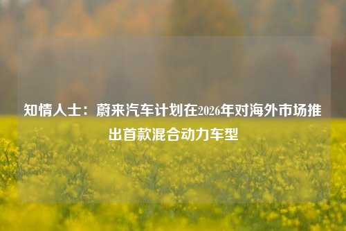 知情人士：蔚来汽车计划在2026年对海外市场推出首款混合动力车型-第1张图片-十倍杠杆-股票杠杆