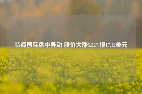 特海国际盘中异动 股价大涨5.22%报17.12美元-第1张图片-十倍杠杆-股票杠杆