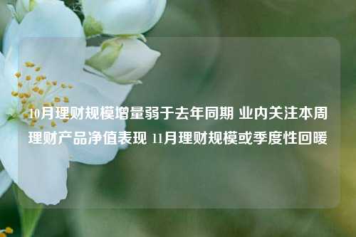 10月理财规模增量弱于去年同期 业内关注本周理财产品净值表现 11月理财规模或季度性回暖-第1张图片-十倍杠杆-股票杠杆