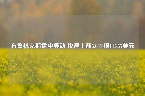 布鲁林克斯盘中异动 快速上涨5.04%报115.57美元-第1张图片-十倍杠杆-股票杠杆