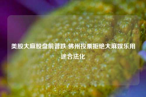 美股大麻股盘前普跌 佛州投票拒绝大麻娱乐用途合法化-第1张图片-十倍杠杆-股票杠杆