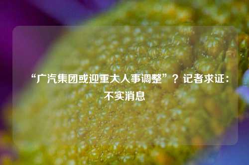 “广汽集团或迎重大人事调整”？记者求证：不实消息-第1张图片-十倍杠杆-股票杠杆