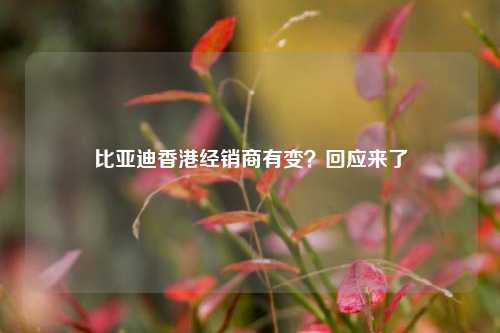 比亚迪香港经销商有变？回应来了-第1张图片-十倍杠杆-股票杠杆