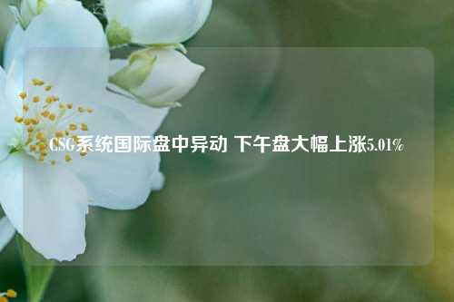 CSG系统国际盘中异动 下午盘大幅上涨5.01%-第1张图片-十倍杠杆-股票杠杆