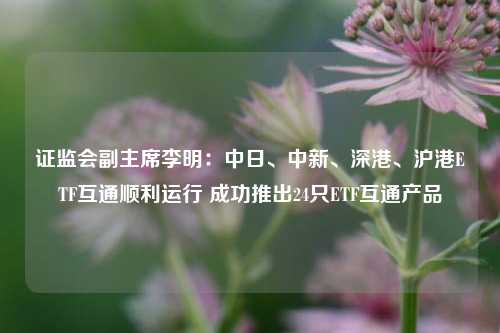 证监会副主席李明：中日、中新、深港、沪港ETF互通顺利运行 成功推出24只ETF互通产品-第1张图片-十倍杠杆-股票杠杆