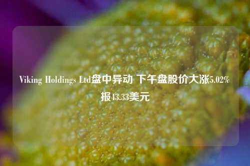 Viking Holdings Ltd盘中异动 下午盘股价大涨5.02%报43.33美元-第1张图片-十倍杠杆-股票杠杆