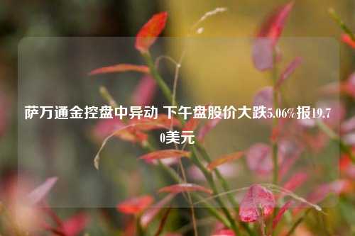 萨万通金控盘中异动 下午盘股价大跌5.06%报19.70美元-第1张图片-十倍杠杆-股票杠杆