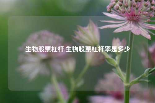 生物股票杠杆,生物股票杠杆率是多少-第1张图片-十倍杠杆-股票杠杆