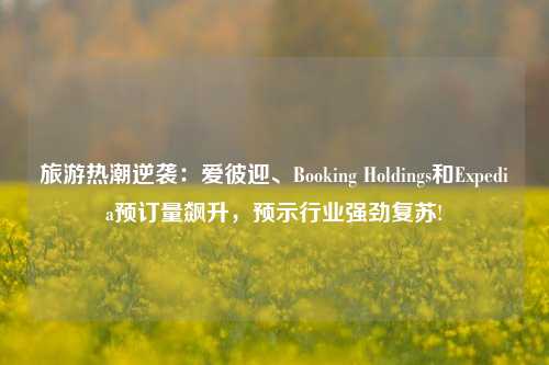 旅游热潮逆袭：爱彼迎、Booking Holdings和Expedia预订量飙升，预示行业强劲复苏!-第1张图片-十倍杠杆-股票杠杆