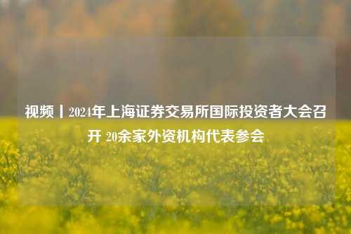 视频丨2024年上海证券交易所国际投资者大会召开 20余家外资机构代表参会-第1张图片-十倍杠杆-股票杠杆