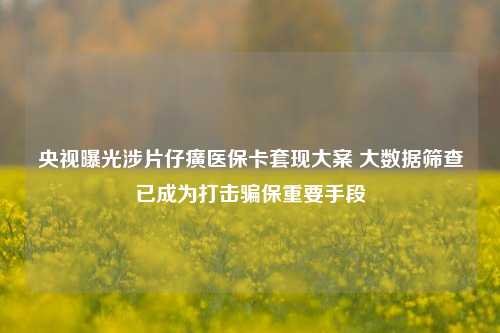 央视曝光涉片仔癀医保卡套现大案 大数据筛查已成为打击骗保重要手段-第1张图片-十倍杠杆-股票杠杆