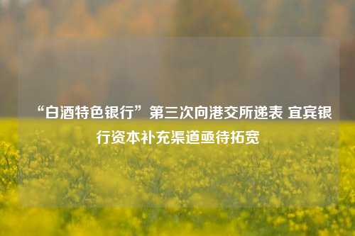 “白酒特色银行”第三次向港交所递表 宜宾银行资本补充渠道亟待拓宽-第1张图片-十倍杠杆-股票杠杆