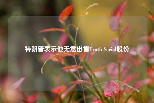 特朗普表示他无意出售Truth Social股份-第1张图片-十倍杠杆-股票杠杆