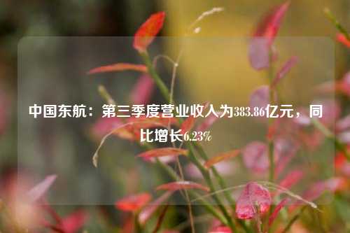 中国东航：第三季度营业收入为383.86亿元，同比增长6.23%-第1张图片-十倍杠杆-股票杠杆