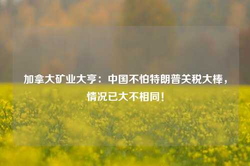 加拿大矿业大亨：中国不怕特朗普关税大棒，情况已大不相同！-第1张图片-十倍杠杆-股票杠杆