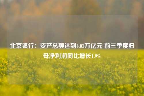 北京银行：资产总额达到4.03万亿元 前三季度归母净利润同比增长1.9%-第1张图片-十倍杠杆-股票杠杆