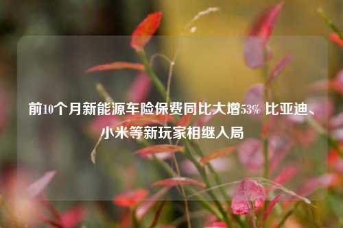 前10个月新能源车险保费同比大增53% 比亚迪、小米等新玩家相继入局-第1张图片-十倍杠杆-股票杠杆