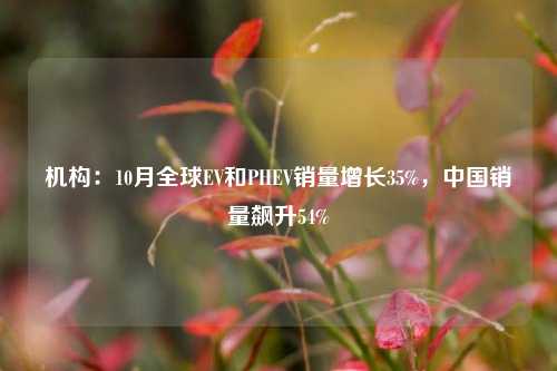 机构：10月全球EV和PHEV销量增长35%，中国销量飙升54%-第1张图片-十倍杠杆-股票杠杆