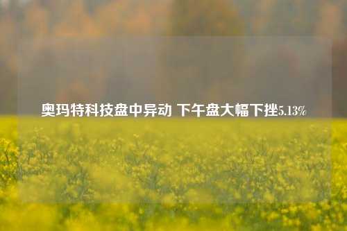 奥玛特科技盘中异动 下午盘大幅下挫5.13%-第1张图片-十倍杠杆-股票杠杆