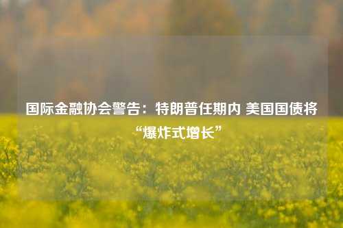 国际金融协会警告：特朗普任期内 美国国债将“爆炸式增长”-第1张图片-十倍杠杆-股票杠杆