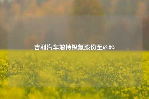 吉利汽车增持极氪股份至62.8%-第1张图片-十倍杠杆-股票杠杆