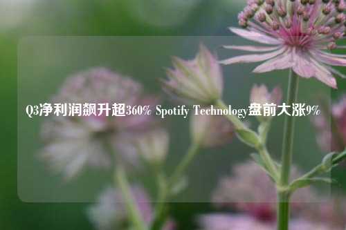 Q3净利润飙升超360% Spotify Technology盘前大涨9%-第1张图片-十倍杠杆-股票杠杆