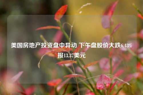 美国房地产投资盘中异动 下午盘股价大跌6.43%报13.37美元-第1张图片-十倍杠杆-股票杠杆