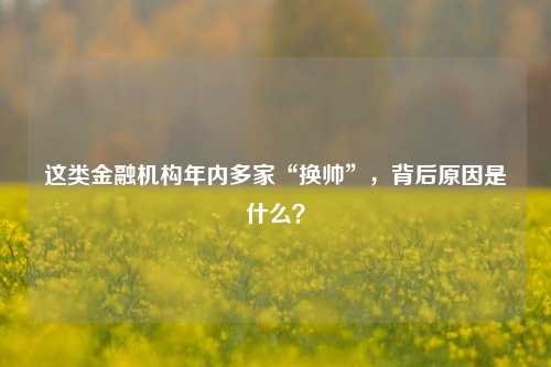 这类金融机构年内多家“换帅”，背后原因是什么？-第1张图片-十倍杠杆-股票杠杆