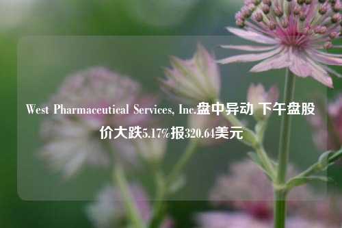 West Pharmaceutical Services, Inc.盘中异动 下午盘股价大跌5.17%报320.64美元-第1张图片-十倍杠杆-股票杠杆