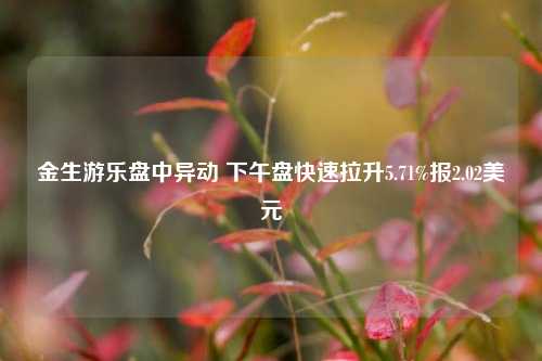 金生游乐盘中异动 下午盘快速拉升5.71%报2.02美元-第1张图片-十倍杠杆-股票杠杆