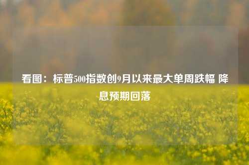 看图：标普500指数创9月以来最大单周跌幅 降息预期回落-第1张图片-十倍杠杆-股票杠杆