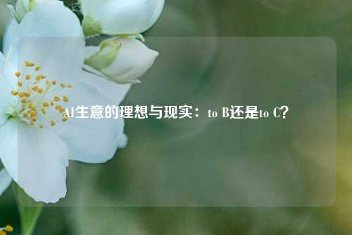 AI生意的理想与现实：to B还是to C？-第1张图片-十倍杠杆-股票杠杆