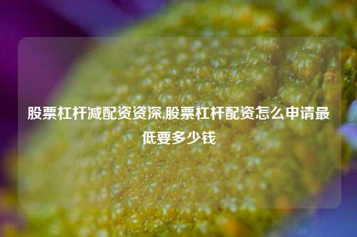 股票杠杆减配资资深,股票杠杆配资怎么申请最低要多少钱-第1张图片-十倍杠杆-股票杠杆