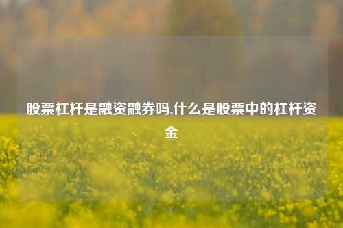 股票杠杆是融资融券吗,什么是股票中的杠杆资金-第1张图片-十倍杠杆-股票杠杆