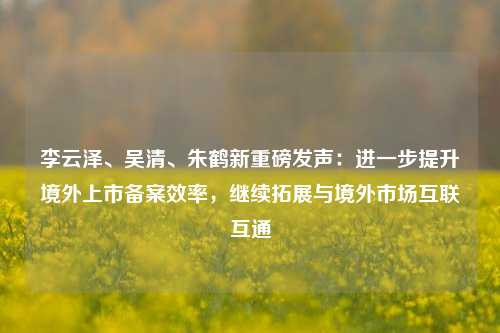 李云泽、吴清、朱鹤新重磅发声：进一步提升境外上市备案效率，继续拓展与境外市场互联互通-第1张图片-十倍杠杆-股票杠杆