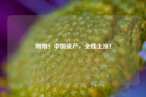 刚刚！中国资产，全线上涨！-第1张图片-十倍杠杆-股票杠杆