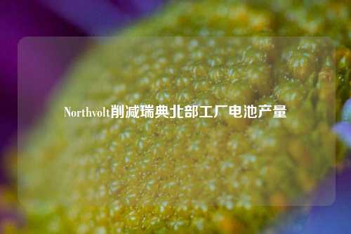 Northvolt削减瑞典北部工厂电池产量-第1张图片-十倍杠杆-股票杠杆