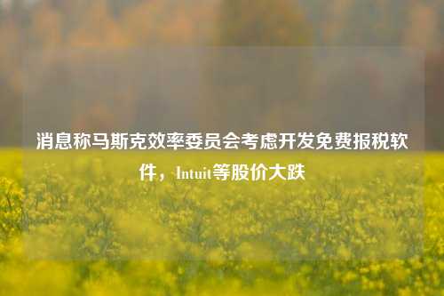 消息称马斯克效率委员会考虑开发免费报税软件，Intuit等股价大跌-第1张图片-十倍杠杆-股票杠杆