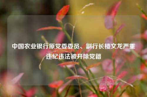 中国农业银行原党委委员、副行长楼文龙严重违纪违法被开除党籍-第1张图片-十倍杠杆-股票杠杆