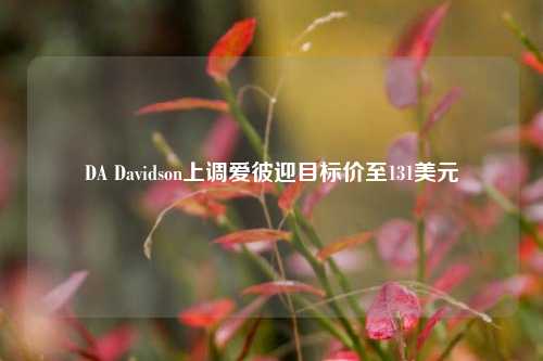 DA Davidson上调爱彼迎目标价至131美元-第1张图片-十倍杠杆-股票杠杆