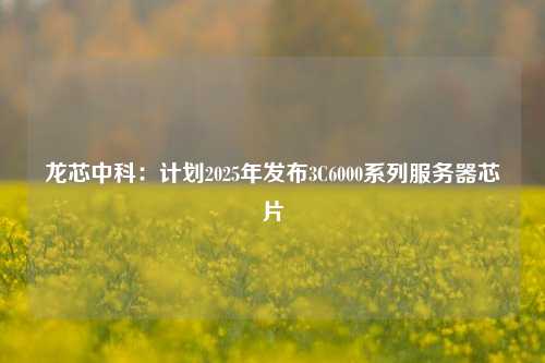 龙芯中科：计划2025年发布3C6000系列服务器芯片-第1张图片-十倍杠杆-股票杠杆